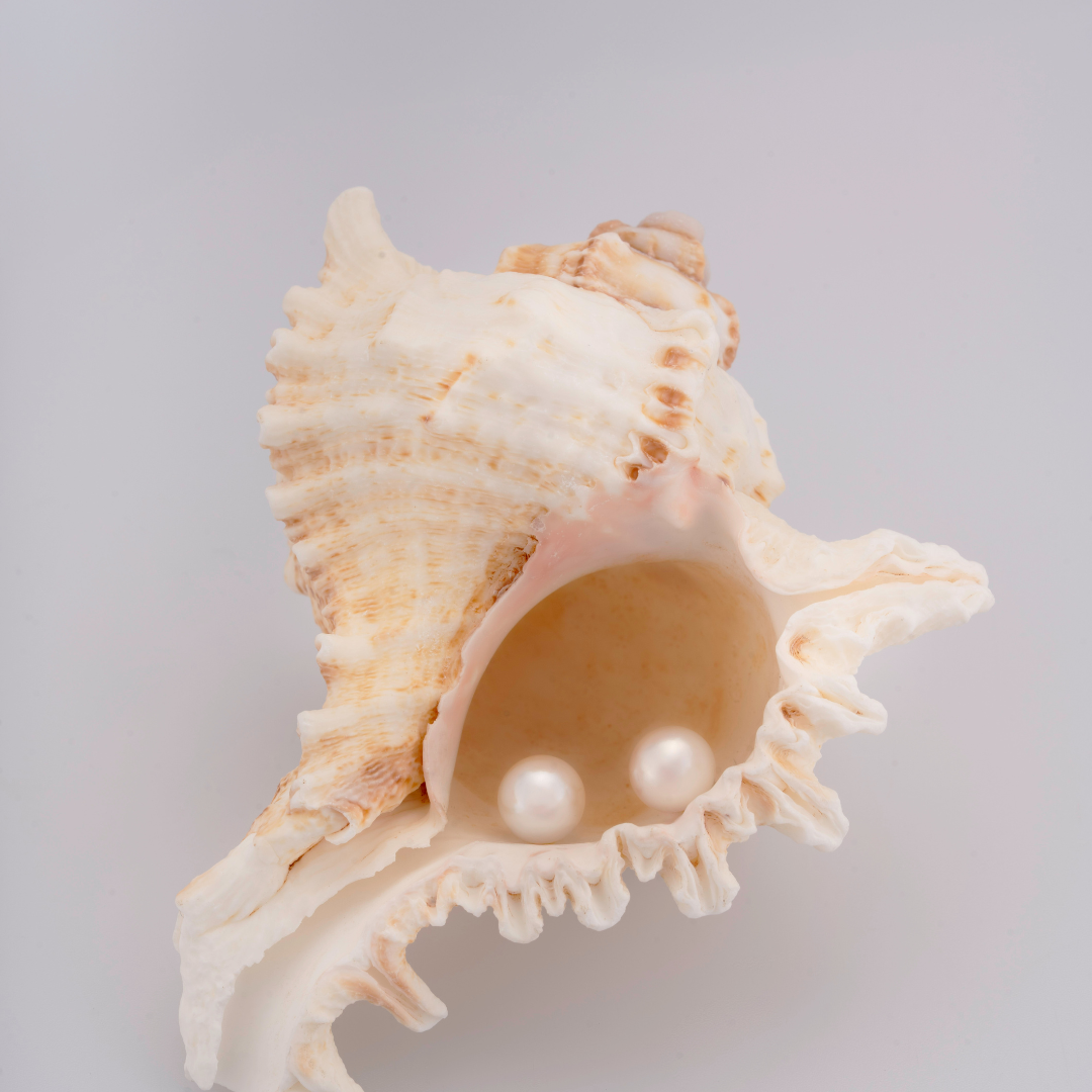 Perlohrstecker mit Akoyaperlen 7,50 mm - 585 Gelbgold