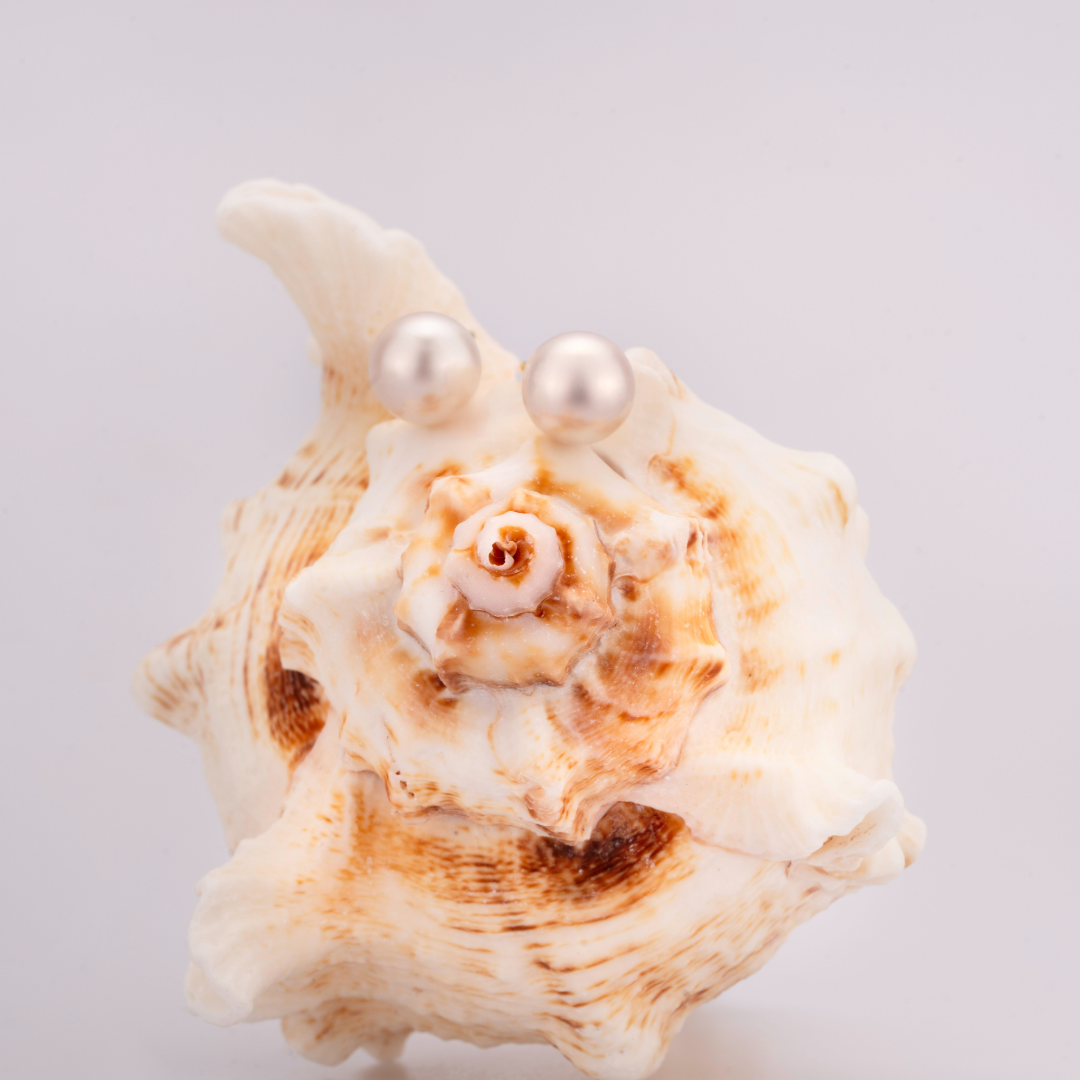 Perlohrstecker mit Akoyaperlen 7,00 mm - 585 Gelbgold