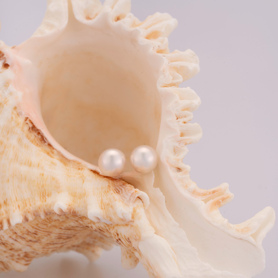 Perlohrstecker mit Akoyaperlen 6,50 mm - 585 Gelbgold